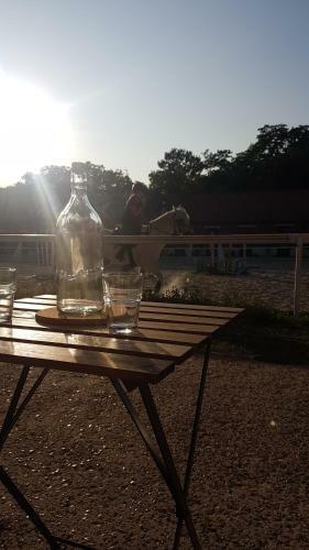 Apartamento Horse And Homes