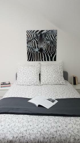 Apartamento Horse And Homes