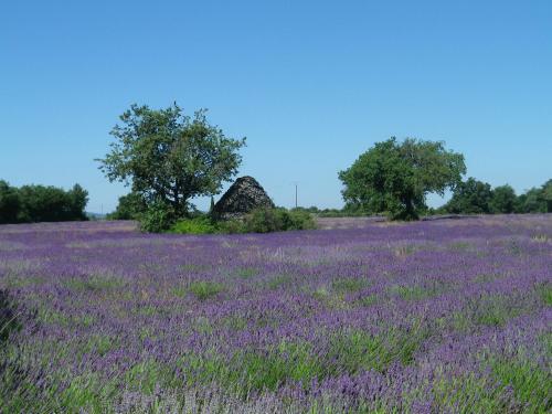 Bed & Breakfast La Mordor�e