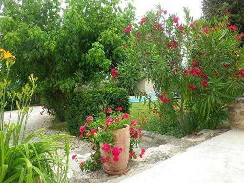 Bed & Breakfast La Mordor�e