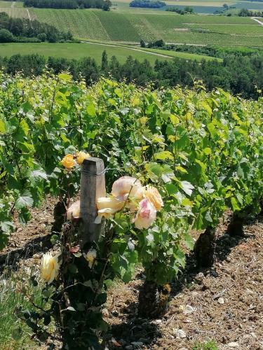 Bed & Breakfast Chambre D'h�tes Esprit De Famille