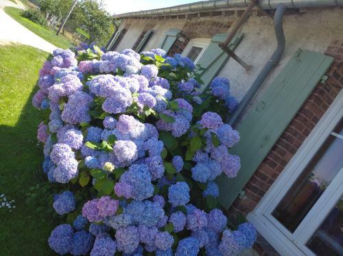 B&B Ferme de La Rouzannerie Pour 2 Ou Famille