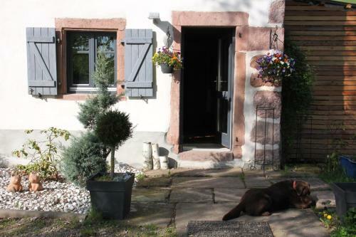 Bed & Breakfast La Colline Du Baa - Maison D'h�tes D'exception