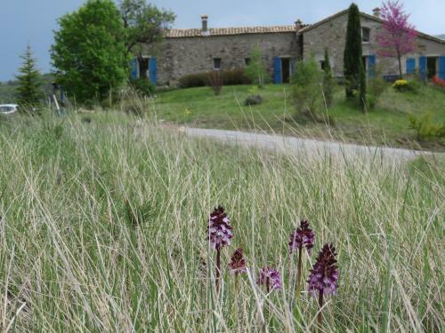 Bed & Breakfast Le Castelet-arzeliers