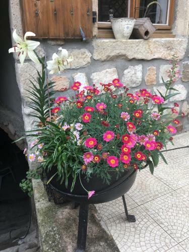 Bed & Breakfast La Mascotte