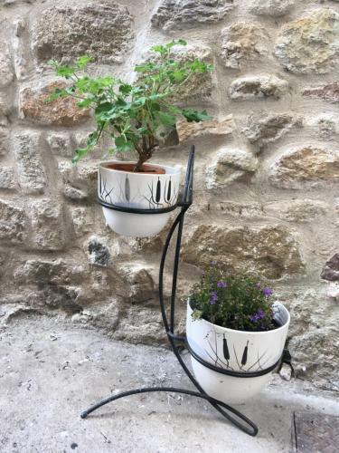 Bed & Breakfast La Mascotte