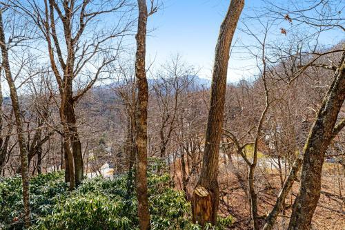 Agroturismo Forest Point