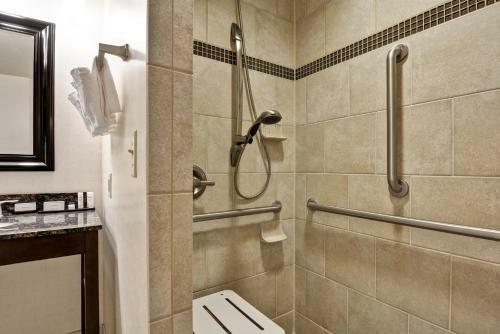 Hotel Embassy Suites Raleigh - Durham Airport/ Brier Creek
