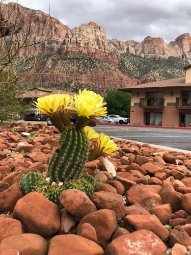 Hotel Bumbleberry Inn