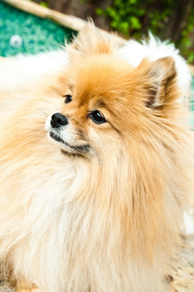 Bed & Breakfast Park Lane Guest House