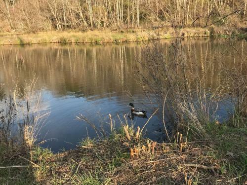 Tentrr - Happy Tales Campsite