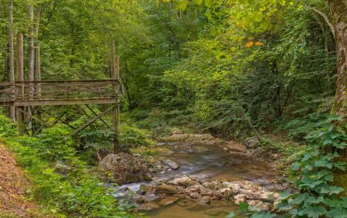Rushing Waters Retreat