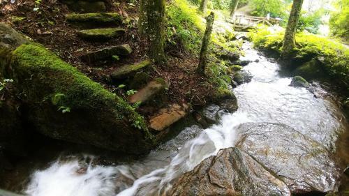 Let The Creek Sweep You Away!!