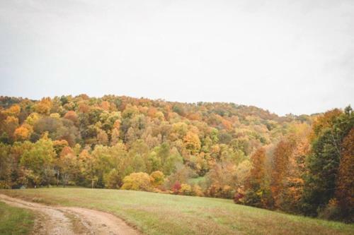 Hocking Hills Park Vista