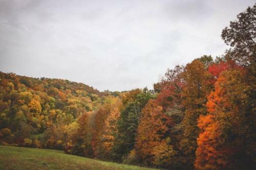 The Country Cottage In The Hocking Hills