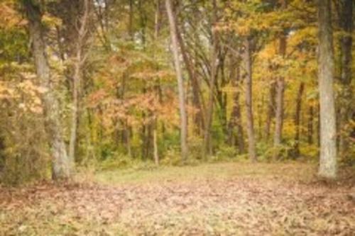 The Country Cottage In The Hocking Hills