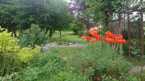 Bed & Breakfast Le Relais Des Capucines