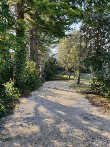 Villa Le Gecko En Provence