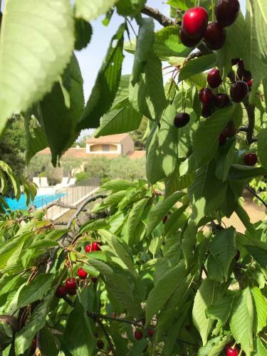 Villa Le Gecko En Provence