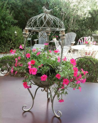 Bed & Breakfast Le Petit Figuier