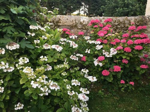 Bed & Breakfast La Chartreuse