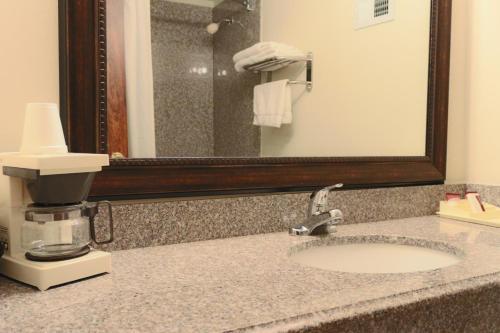 Motel Great Value Inn Houston/galleria