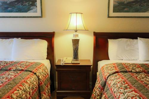 Motel Great Value Inn Houston/galleria