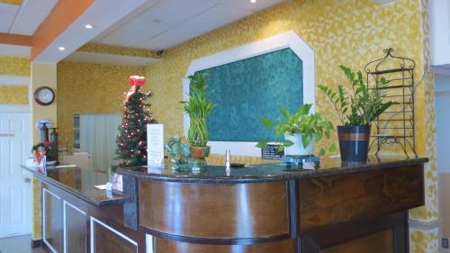 Motel Great Value Inn Houston/galleria