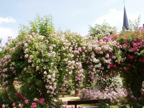 Hostal Chambres D'hotes La Belle Taille