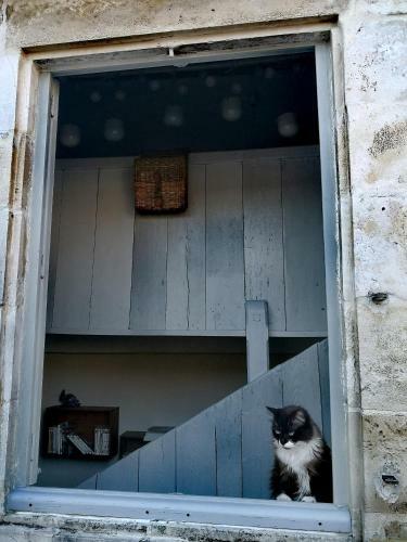 Hostal La Belle Amarre