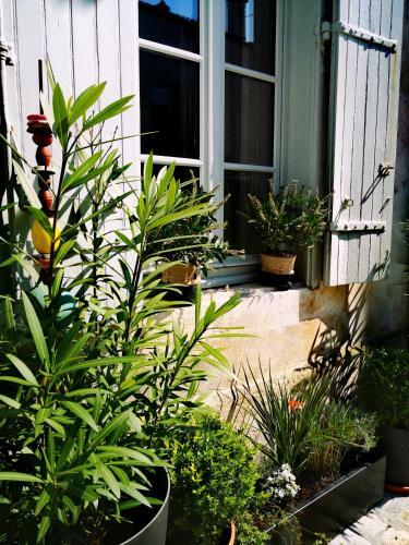 Hostal La Belle Amarre