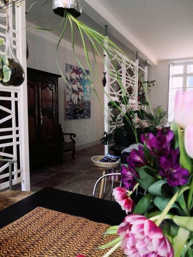 Hostal La Belle Amarre