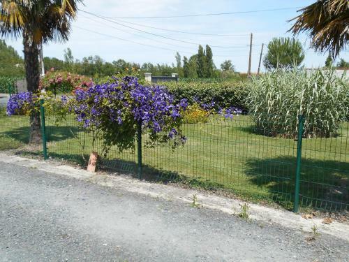 Marais Poitevin P�che ,barque, V�los, Wifi, Linge, Chemin�e, Cuisine