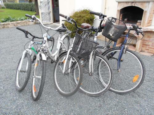 Marais Poitevin P�che ,barque, V�los, Wifi, Linge, Chemin�e, Cuisine