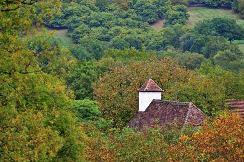 Hostal Chez Claire