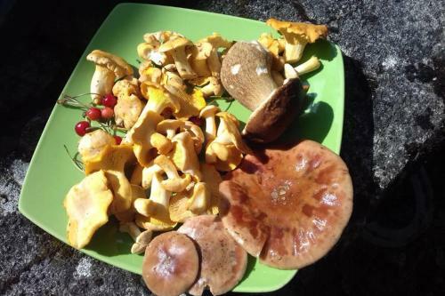 G�te Mosa�que Accueil Rando, P�che, Farniente