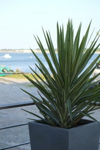 Apartamento Les Perles De L?aiguillon Arcachon