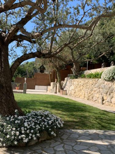 Bed & Breakfast Monte Carlo View And Spa