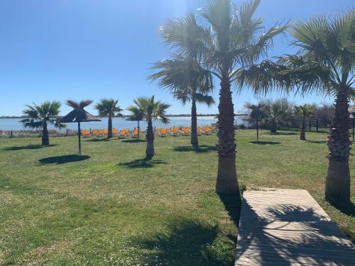 Camping Lac Des R�ves