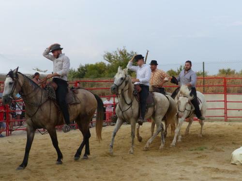 Camping Le Camarguais
