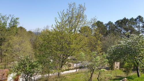 Grand Gite La Salamandre Proche Sarlat