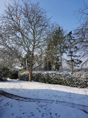Bed & Breakfast Renard Retreat