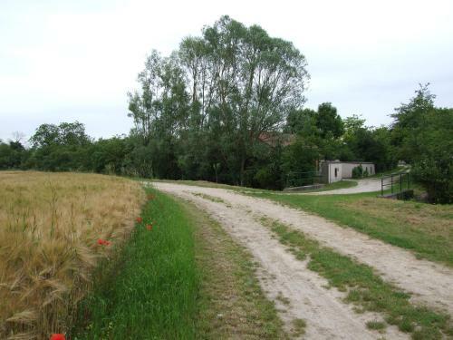 Le Saule Argent�