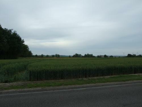 Le Saule Argent�