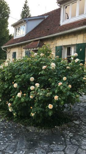 Le Clos Saint Jean