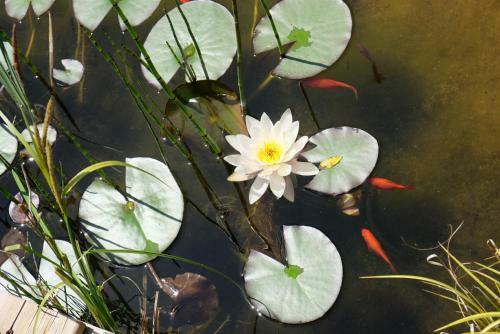 Le Jardin De Beaut�te