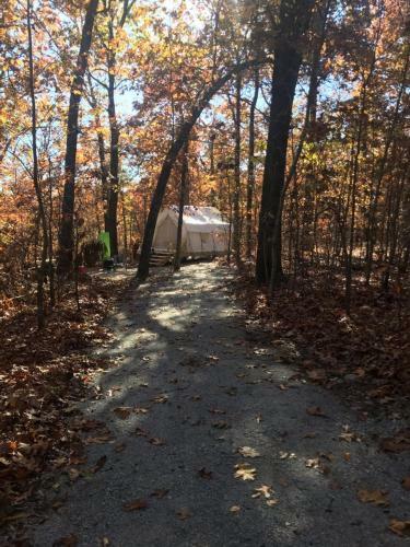 Tentrr Signature Site - Leaning Tree Woods