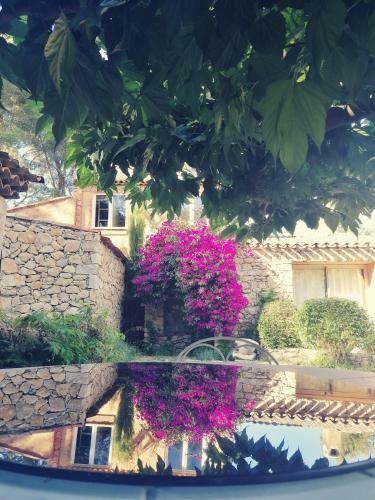 Bed & Breakfast Le Mas Des Escans