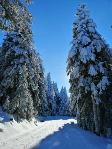 Bed & Breakfast Chambres Et Table D'h�tes R�gord'�ne