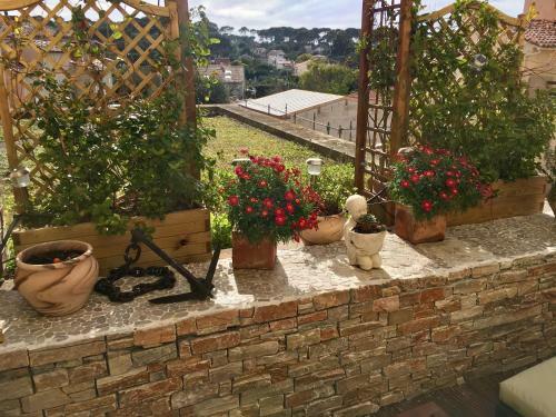 Apartamento Le Sitel